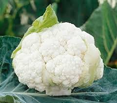 Aamish Semi di ortaggi di cavolfiore 90 pezzi