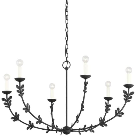 Troy Lighting Florian - 6 Light Chandelier in Whimsical Style-22 Inches Tall and 40 Inches Wide-Black Finish -Traditional Installat