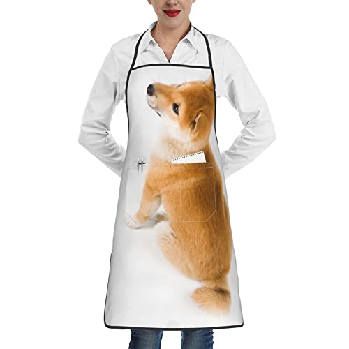 [Outfly] Č   Gv H^Gv Vv  JtFGv VɂȂɂ |Pbgt h Y fB[X Lb`Gv ۈm Ɩp ƒp lC v[g hh44