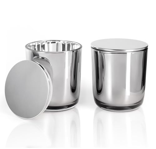 Aroparc Bulk Candle Jars with Lids, 10oz Elegant Candle Container for Candle Making 12 Pack Empty Candle Holder with Metal Lids Tumbler Jar Candle Tins Candle Making Supplies (Stainless Steels)
