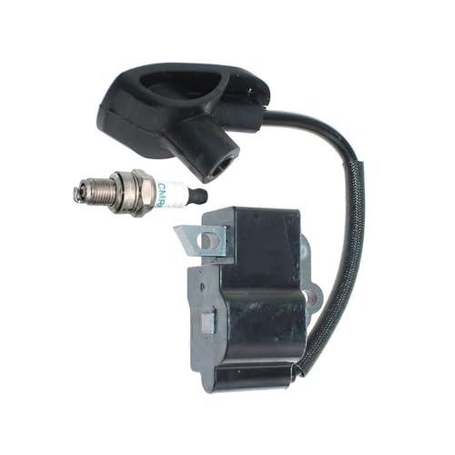 Bougie et bobine d'allumage pour l'entretien des FS90 FC100