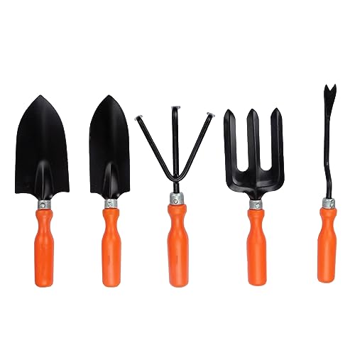 Exotic Acrade Gardening Metal Tool Set with Big and Small Trowel, Weeder, Fork and Cultivator| Garden Tool Kit (5 Tools) Exotic Acrade Gardening Metal Tool Set with Big and Small Trowel, Weeder, Fork and Cultivator| Garden Tool Kit (5 Tools)