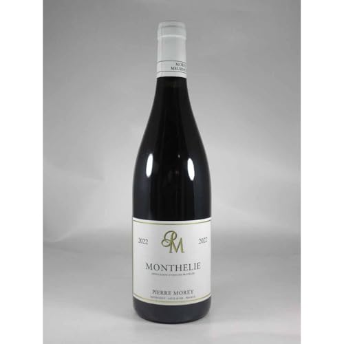  sG[  e[ [W [2022]  ԃC uS[jC 