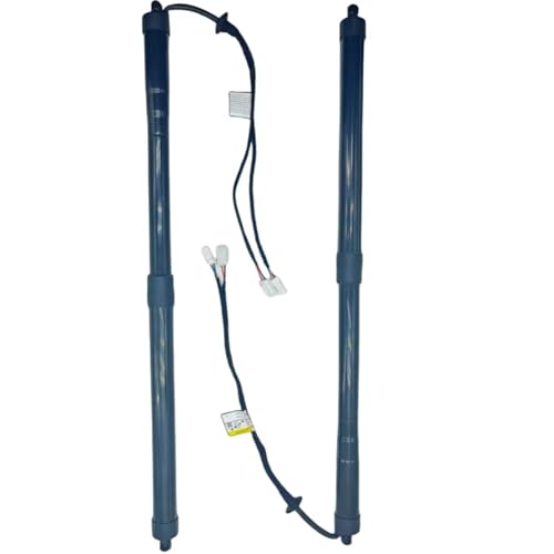 Support hayon électrique de haute précision OEM 9812129680 C4