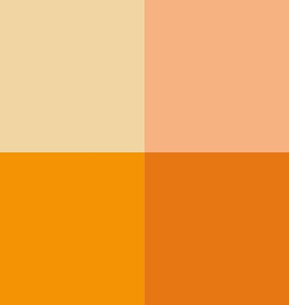 Vallejo - Tanned Skin Color Set, Game Color, 4 Bottles x 0.6 fl.oz. | Acrylic Game Color Set for Painting Fantasy, Historical, and Wargaming Miniatures, BSL System