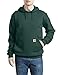 Carhartt Men's Midweight Sweatshirt Hooded Pullover Original Fit, Canopy Green, Large
