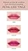 3 Concept Eyes Stylenanda Velvet Lip Tint (2017 New) 10 colors avail (Taupe)