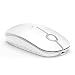 Vive Comb Rechargeable Wireless Bluetooth Mouse Compatible with MacBook, Laptop, Windows Android Mac OS Quiet Clicking Mouse with Bluetooth, Type C and Nano USB Receiver-White and Silver