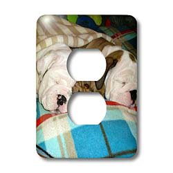Couverture pour prise bouledogue anglais contre les murs tristes