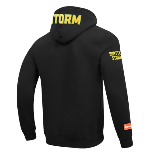 Image of Pro Standard Mens WNBA Classic Chenille Pull Over Hoodie