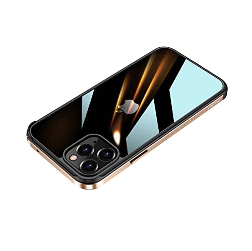 Carcasa Bumper Metal para iPhone 11 Pro Protección Plexiglass (Oro)