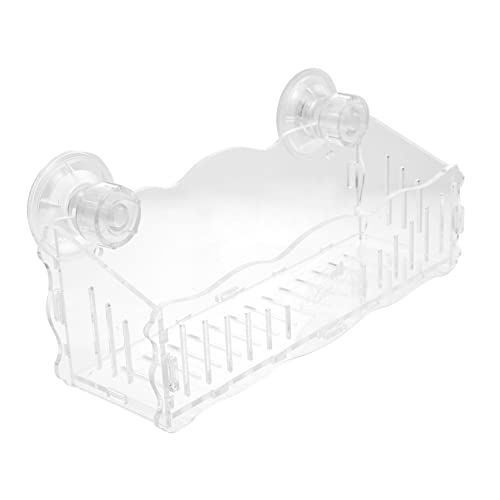 EXAOMBLE pANv^[zՕt ANAEAz_[ 琬Jbv p ϋvƒʋC ݌v