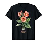 Flowers Scientific Names Illustration DonaOnca