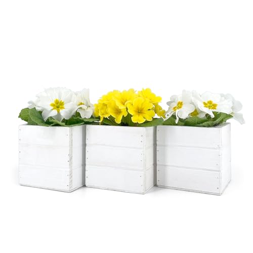Vimin Box Set 3 Mini Cassette Quadrate 10x10x10 cm | Vasi per Piante Grasse con Interno in Plastica | Fioriere da Interno ed Esterno (Bianco)