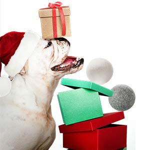 Ohoco Wool Dryer Balls 6 Pack Xl thumb #6