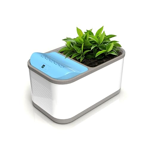 Eva-Dry Dewplanter 2-in-1 Dehumidifier & Indoor Planter