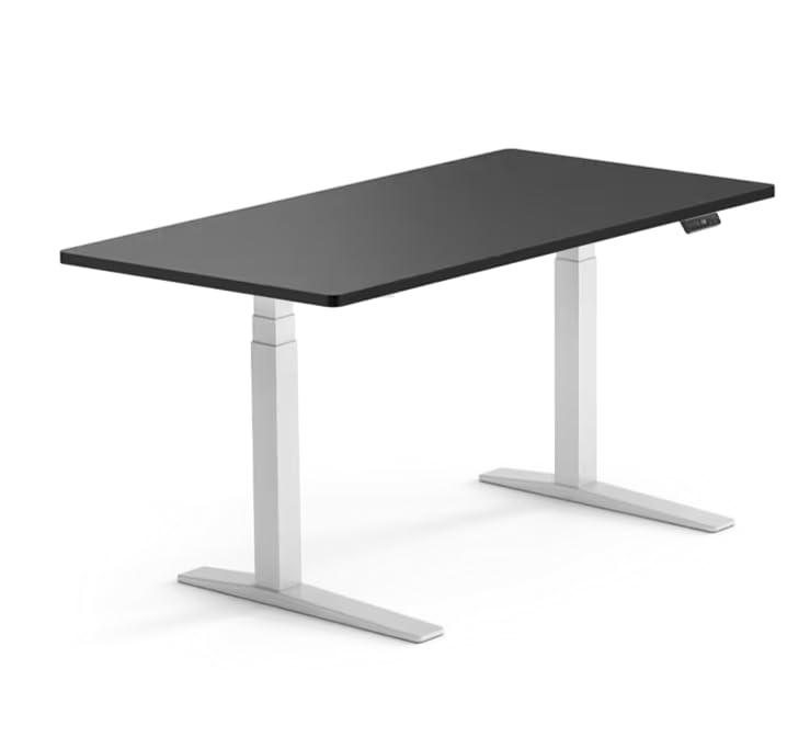 FLEXISPOT E7 Pro Heavy-Duty Standing Desk | Dual Motor, 3 Stage