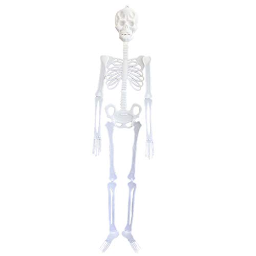 90cm nEB   [ ÈłŌKCRc l hN  XJ ͌^ nEB  XPg {[ p[eB[ObY Ղ ~ ͋C_ u   X  | (1)
