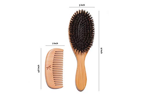 Belula Organic Hair Care Set.100% Boar Bristle Hair Brush Set And Detangling Boar Bristle Hair Brush. Restore Shine And Texture To Your Hair #TOP4