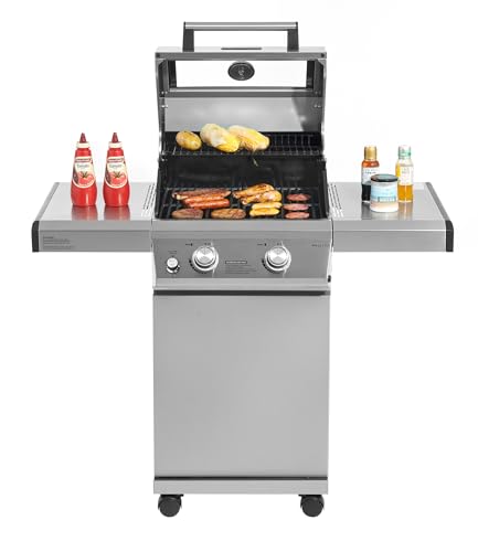 Monument Grills 14633 2-Burner Stainless Steel Foldable Liquid Propane Gas Grill with Clearview® Lid, Knob Controls, Outdoor Use, Mesa 200