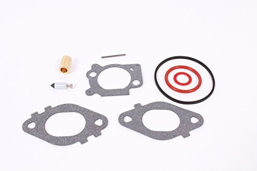 Briggs and Stratton 592172 Carburetor Overhaul Kit
