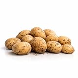 Patate da Semina Agria 4 kg – Alta Resa fino a 60 kg – Scondizionate – Con Passaporto Fitosanitario – Guida alla Semina e Supporto Agrario Inclusi