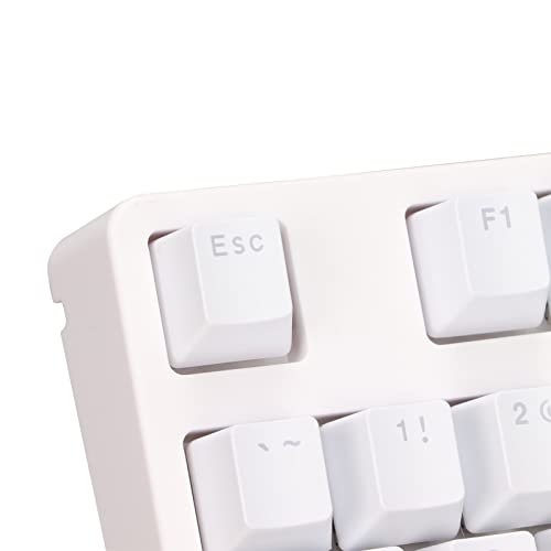 Teclado Mecánico Licaevey 87 Teclas Cable USB-C miniatura 7