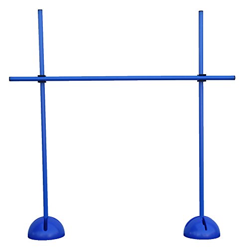 Boje Sport Set di Allenamento Blu/ostacolo