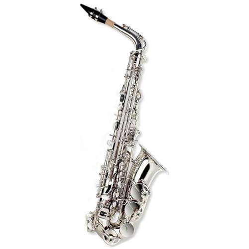 AgTbNX Eb AgTbNX^JhS[h E tbgTbNX~[WJ؊ǊyP[XANZT[t(E)