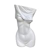 Feminine Body Vases,Feminine Curve Vases...