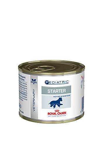 Royal Canin Mother & Baby Mousse de Inicio Alimento Completo para Perros, 12 x 195 g