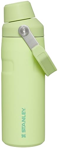 Image of Stanley IceFlow Fast Flow Water Bottle 16 oz | Angled Spout Lid | Lightweight and Leakproof for Travel and Sports | Insulated Stainless Steel | BPA-Free | Citron