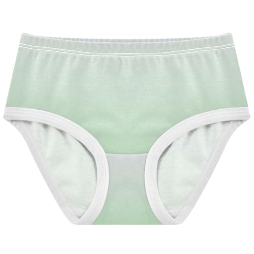 Joisal Cotton Toddlers Underwear Floral Magnolia Celadon Green Gradient Panties for Girl Print Briefs Underpants 2t