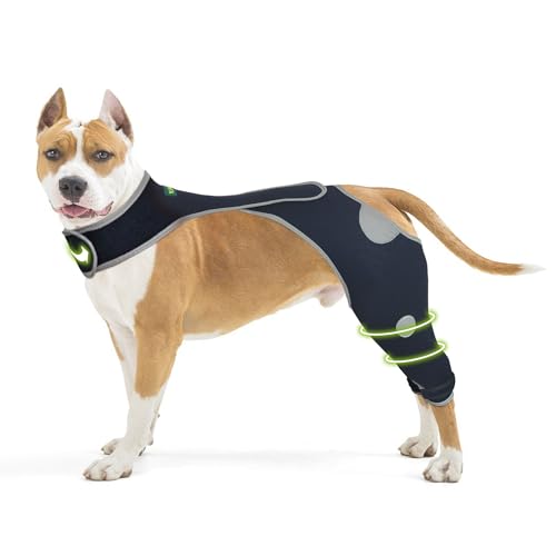 Image of Dog Back Leg Support - Hind Leg Sleeve to Stop Licking and Protect Wounds, Wear-Resistant Recovery Brace with Reflective Material, Cone Alternative for Injury Care - Size S