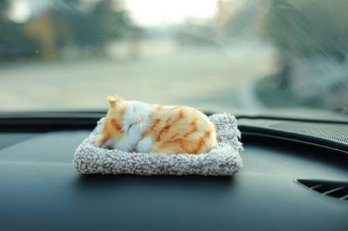 Image of Sleeping cat