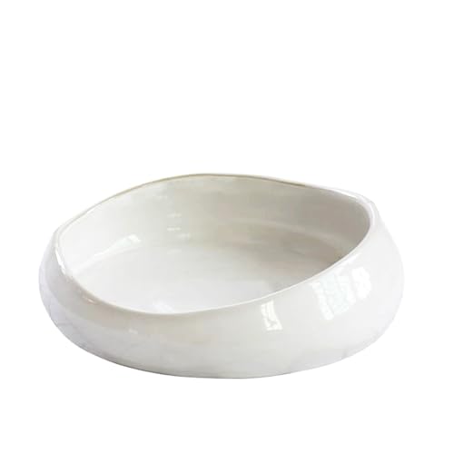 LOUIE SILNA Decorative Bowl Free-Form Rim Glazed...