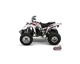 Kit Déco Quad Graff Compatible avec Yamaha Blaster Rouge (2003-2007)