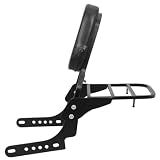 custom sissy bar nightster Il portapacchi posteriore offre più spazio per trasportare più oggetti durante la guida, più pratico