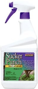 Bonide Sucker Punch 16OZ