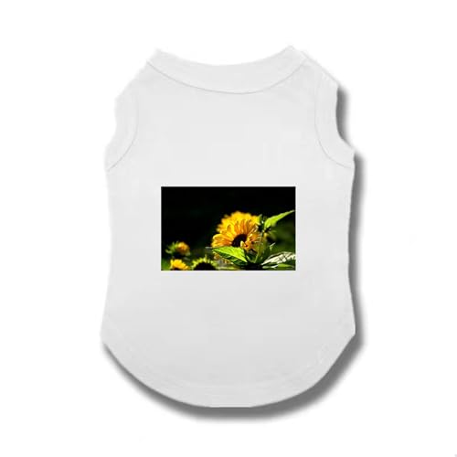 [XANPYO] ybg L   킢 hbOEFA xXg  Eѕی ƒ ^ t   Vc ĕ  _炩 Eѕی h p  lGʗp y EȒP S o|