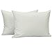 NTBAY Microfiber Zippered Toddler Pillowcases, 2 Pack Travel Pillow Covers, 13 x 18 Inches, Light Grey