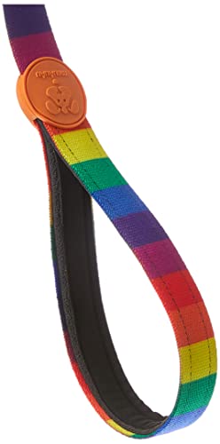 GUIA MEUAU RAINBOW 0,25