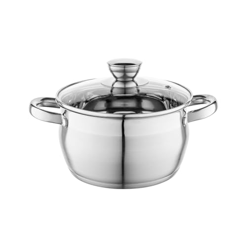FLORINA Cacerola de Acero Inoxidable (3,4 l) 20 cm I Ollas Cocina con Tapa de Cristal OLIVER I Apto para Lavavajillas I Olla para Pasta, Sopas I Ideal para Todo Tipo de Cocinas, Incluyendo Inducción