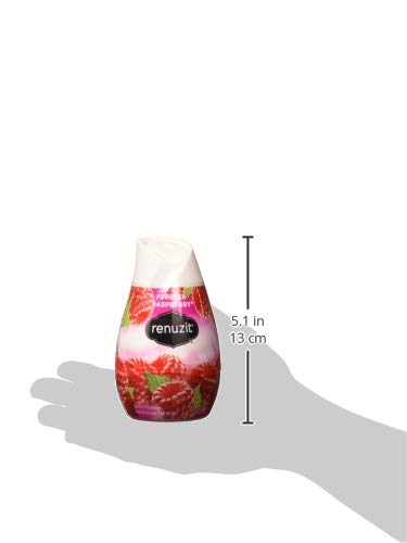 Renuzit Adjustables Gel Air Freshener, Raspberry, 7 Ounce