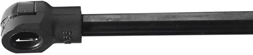 Tailgate Liftgate Lift Support Strut Shock, Compatible with Scion TC 14 2005-2010, Lift Support
