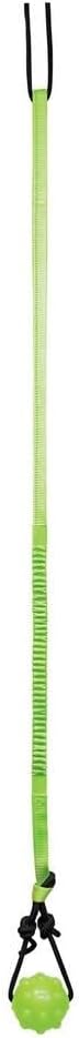 Tree Tugger Interactive Bungee Dog Toy, Green