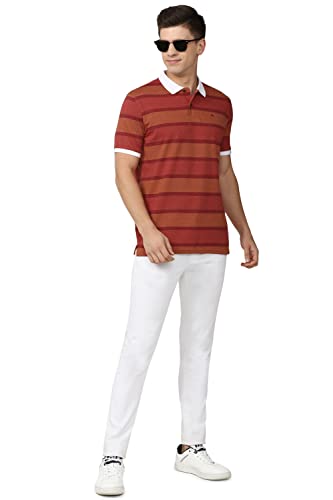 Peter England Men's Regular Polo Shirt