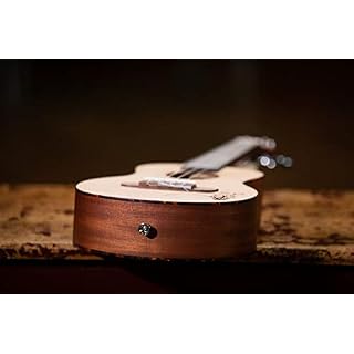 Ortega Guitars Ukulélé Ténor acoustique – Série Bonfire – table épicéa avec motif gravé au laser (RU5-TE) - Les Beatles, Paul McCartney, John Lennon, RIngo Starr, George Harrison Ortega Guitars Ukulélé Ténor acoustique - Série Bonfire - table épicéa avec motif gravé au laser (RU5-TE) – Image 5