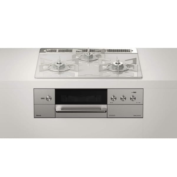 Amazon.co.jp: Rinnai RHS31W31E14RCASTW-LP ステンレス DELICIA 
