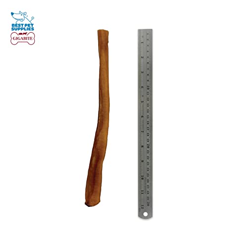 Image of GigaBite Bully Sticks for Dogs All Natural Beef Pizzle Dog Chews, Odor & Rawhide Free Dog Treats, Long Lasting High Protein Chews Digestible Dental Dog Treat - Sticks (Premium 12 inch), Pack of 6